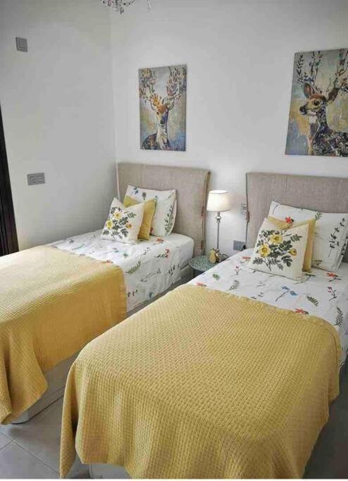 Bahia Homes Torrevieja Bagian luar foto